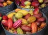 Cacao – Historia y Leyenda