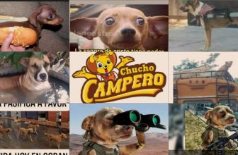 ¿En Cobán comen perros?